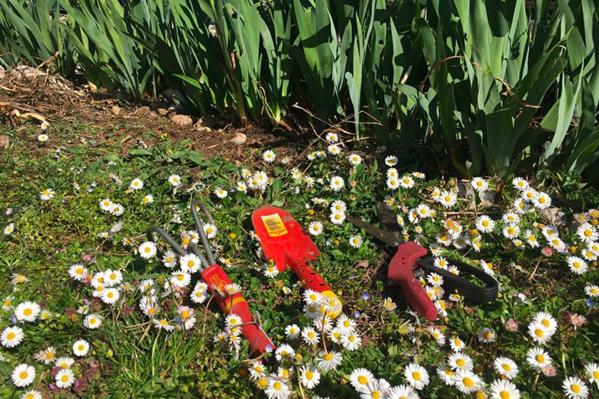 UNA PERSONALE STRATEGIA PER COMBATTERE LA&nbsp;PAURA